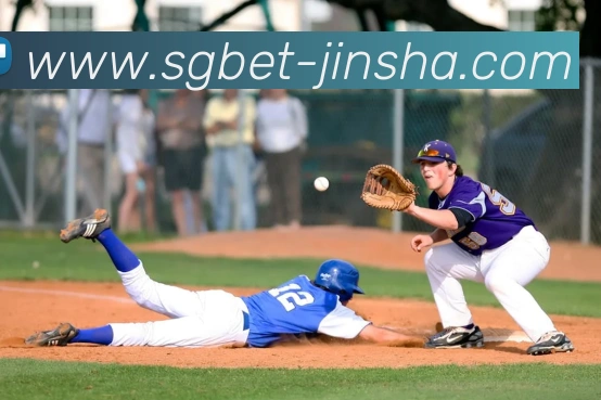 金沙娱乐城发展历程